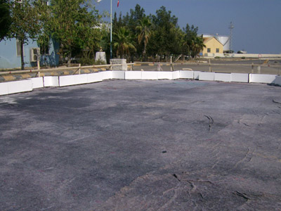 CMS 1